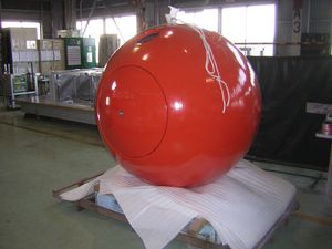 Survival capsule.jpg